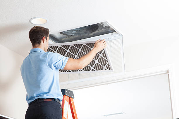 Best Best HVAC companies  in Oakwood, IL